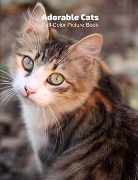 Adorable Cats Full-Color Picture Book: Cats Picture Book for Children, Seniors and Alzheimer's Patients- Aging Parents- Pets Feline Kittens Animals