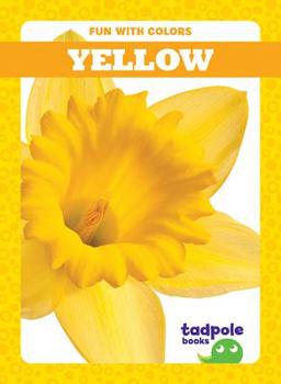 Library Binding Yellow Book