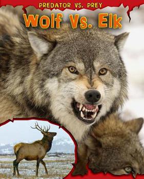 Paperback Wolf vs. Elk Book
