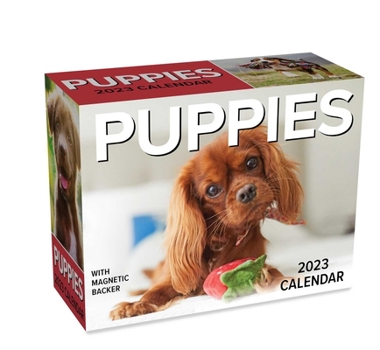 Calendar Puppies 2023 Mini Day-To-Day Calendar Book