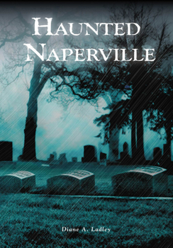 Paperback Naperville's Haunted Memories Book