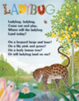 Hardcover In My Own Words: Pre-K/K Wordless Books Book