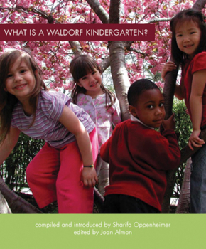 Paperback What Is a Waldorf Kindergarten? Book