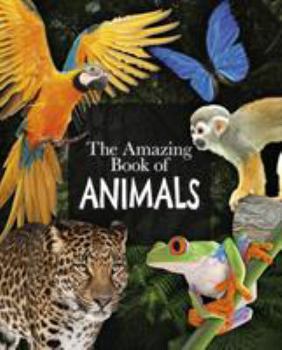 Paperback The Amazing Book of Animals Book