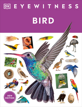 Paperback Eyewitness Bird Book