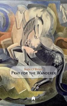 Hardcover Pray for the Wanderer Book