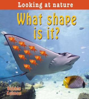 Hardcover What Shape Is It? Book