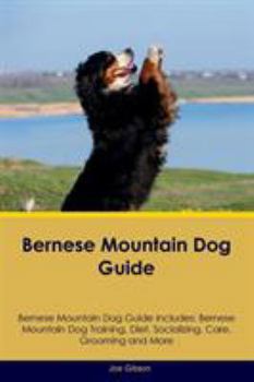 Paperback Bernese Mountain Dog Guide Bernese Mountain Dog Guide Includes: Bernese Mountain Dog Training, Diet, Socializing, Care, Grooming, Breeding and More Book