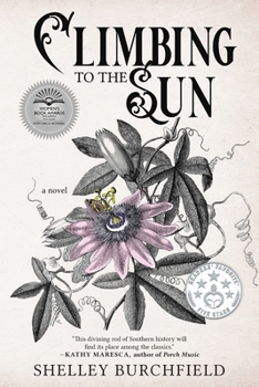Paperback Climbing To The Sun Book