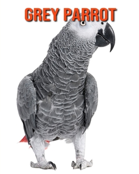 Paperback Grey Parrot: Amazing Facts about Grey Parrot Book