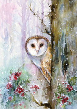 Hardcover Woodland Owl Small Boxed Holiday Cards (20 Cards, 21 Self-Sealing Envelopes) Book