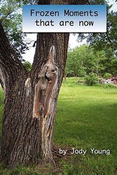 Paperback Frozen Moments that are now Book