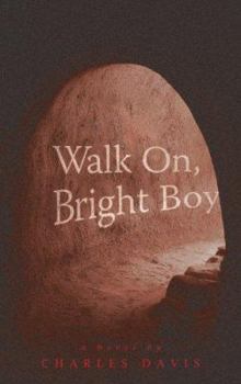Hardcover Walk On, Bright Boy Book