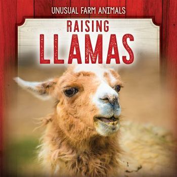 Library Binding Raising Llamas Book