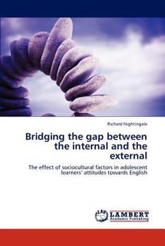 Paperback Bridging the gap between the internal and the external Book