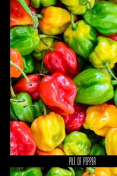 pile of pepper: small lined Pepper Notebook / Travel Journal to write in (6'' x 9'') 120 pages