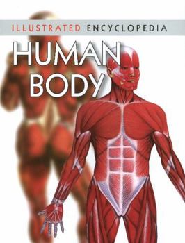 Paperback Human Body Book