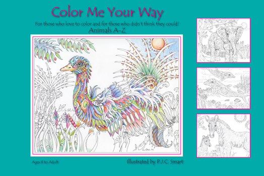 Hardcover Color Me Your Way, Volume 1 Book