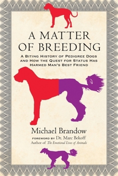 Paperback A Matter of Breeding: A Biting History of Pedigree Dogs and How the Quest for Status Has Harmed Man's Best Friend Book