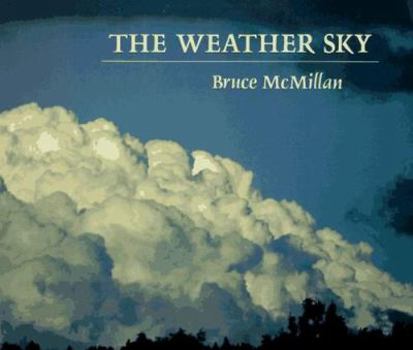 Paperback The Weather Sky Book