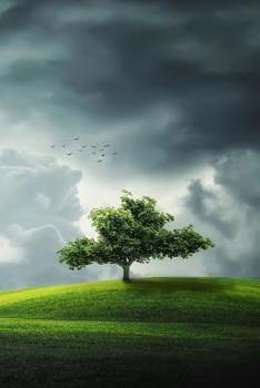 Paperback Tree: Cool Personalised Travel Journal, Diary, Planner, Cute and Unique Travel Notebook (Lined, 110 Pages, 6 X 9) (Travel No Book