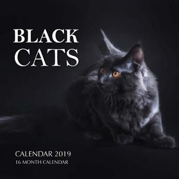 Black Cats Calendar 2019: 16 Month Calendar