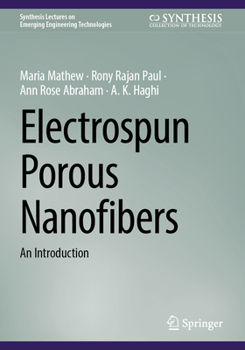 Paperback Electrospun Porous Nanofibers: An Introduction Book