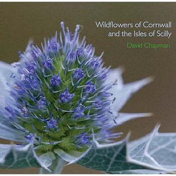 Paperback Wildflowers of Cornwall and the Isles of Scilly Book