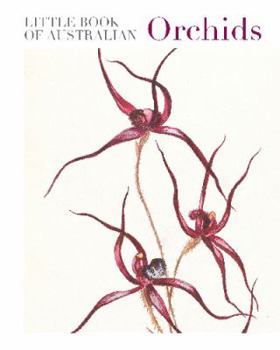 Paperback Little Book of Australian Orchids Book