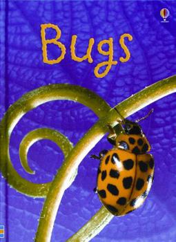 Hardcover Bugs: Level 1 Book