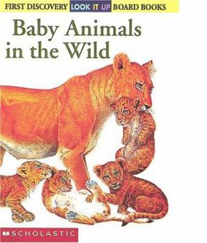 Board book Look-It-Up: Baby Animals in the Wild Book