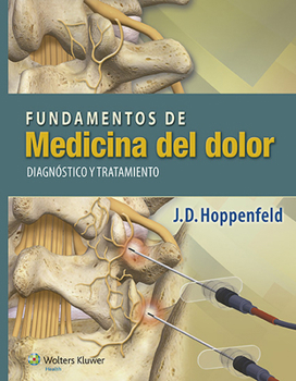 Paperback Fundamentos de Medicina del Dolor: Diagnóstico Y Tratamiento [Spanish] Book