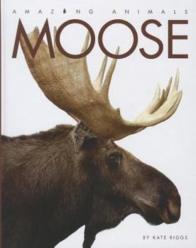Library Binding Moose Book