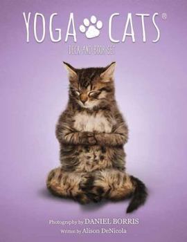 Cards Yoga Cats Deck & Book Set Book