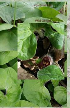 Paperback Your Notebook! Wild Ginger Book