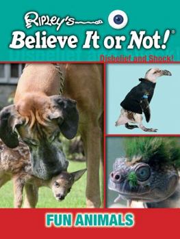 Seeing Is Believing: Fun Animals - Book  of the Ripley's Disbelief and Shock