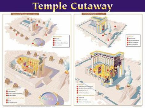Wall Chart Temple Cutaway Wall Chart Book