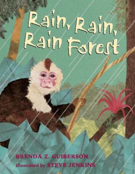 Paperback Rain, Rain, Rain Forest Book