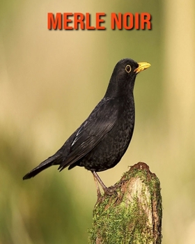 Merle Noir: Photos Etonnantes & Recueil d'Informations Amusantes Concernant les Merle Noir