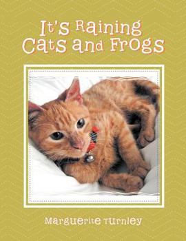 Paperback It's Raining Cats and Frogs Book