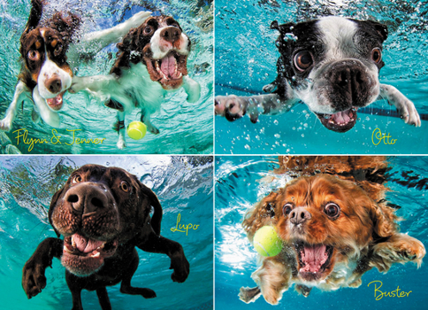 Misc. Underwater Dogs: Ruff Water 1000-Piece Puzzle Book
