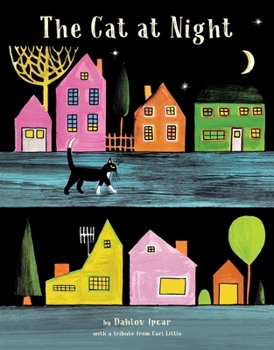Hardcover The Cat at Night Book
