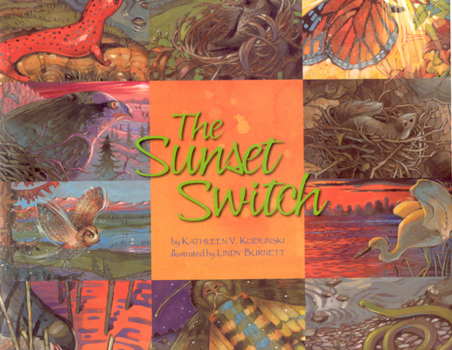 Hardcover Sunset Switch Book