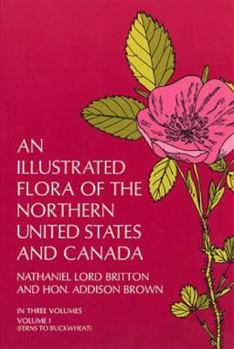 Paperback An Illustrated Flora of the Northern United States and Canada, Vol. 1 Book