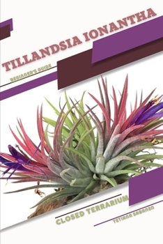 Paperback Tillandsia ionantha: Closed terrarium, Beginner's Guide Book