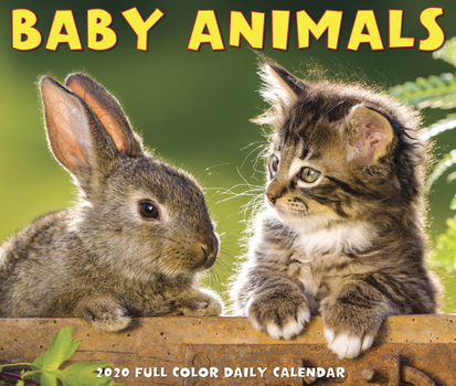 Calendar Baby Animals 2020 Box Calendar Book