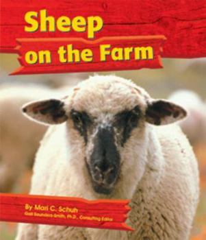 Sheep on the Farm - Book  of the On the Farm