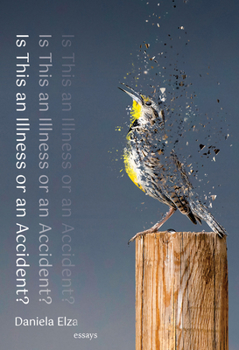 Paperback Is This an Illness or an Accident? Book