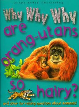 Paperback Why Why Why Are Orang-Utans So Hairy? Book