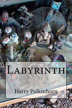 Paperback Labyrinth Book